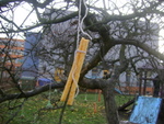 DSC05217.JPG